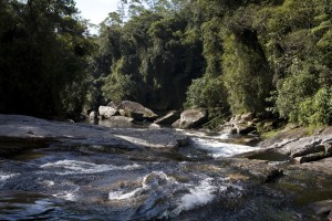 Foto: Acervo Ecofuturo