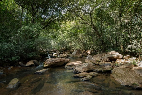 Ribeirão Catarina, na região de atuação do Oásis Brumadinho (MG). 