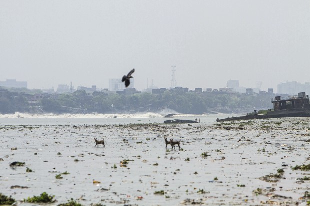 A extensa onda na poluída Calcutá