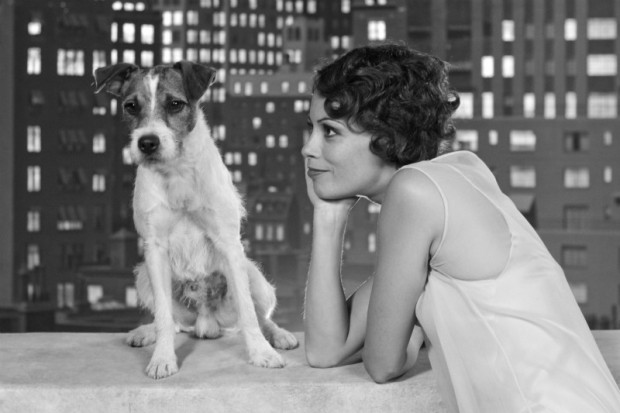 Uggie em cena de O Artista