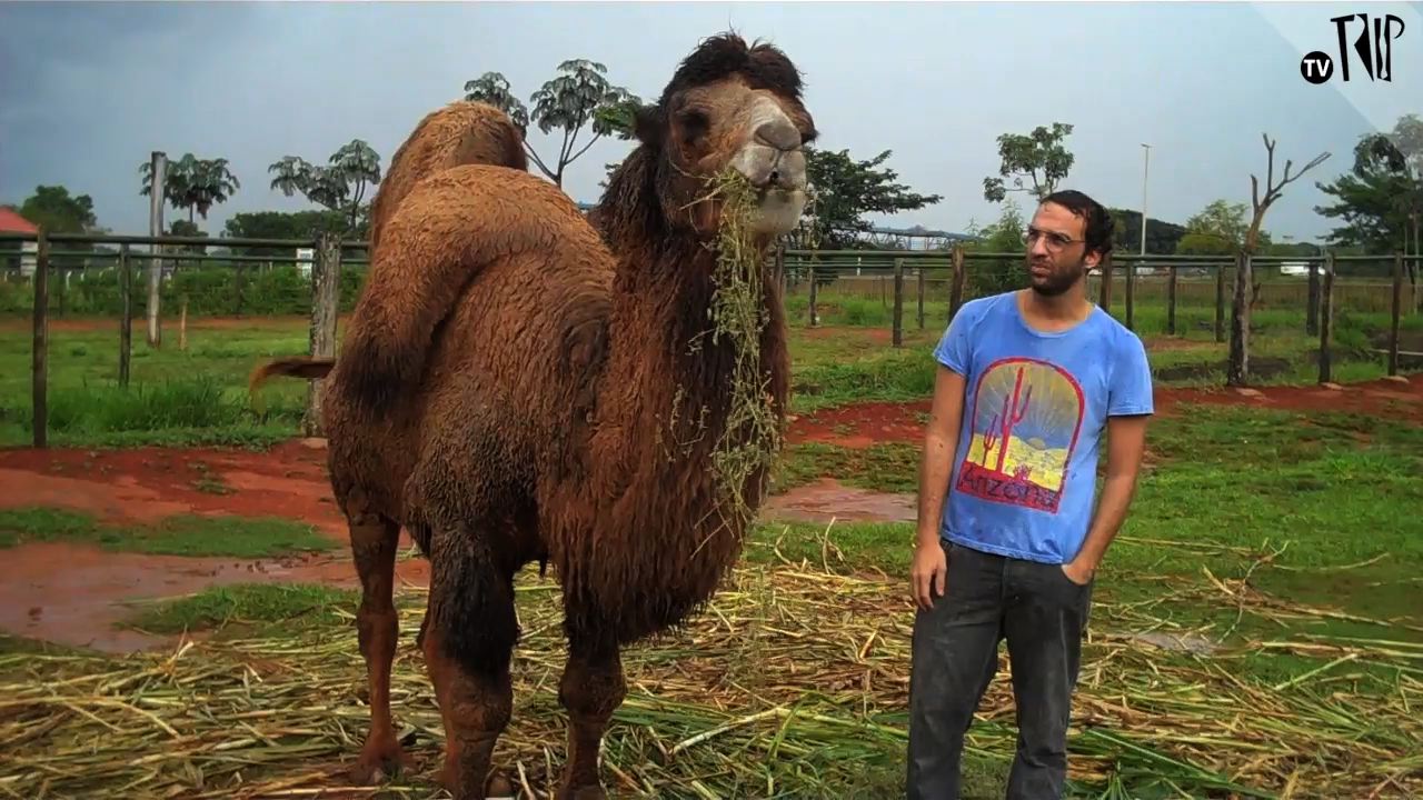 Entrevistamos o Camelo
