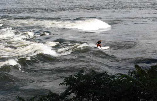 Surfe canadense