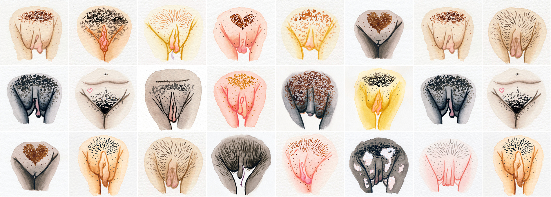 A maravilhosa diversidade de nossas vulvas