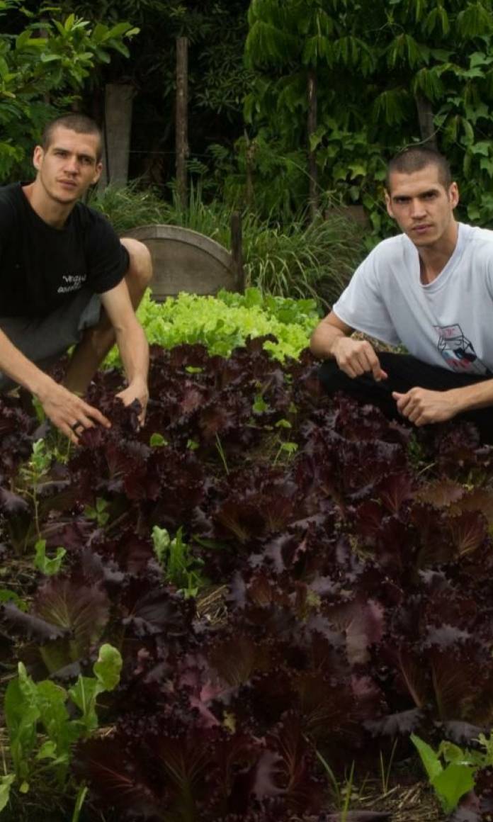 Dois irmãos gêmeos posam agachados no meio de uma plantação de alface