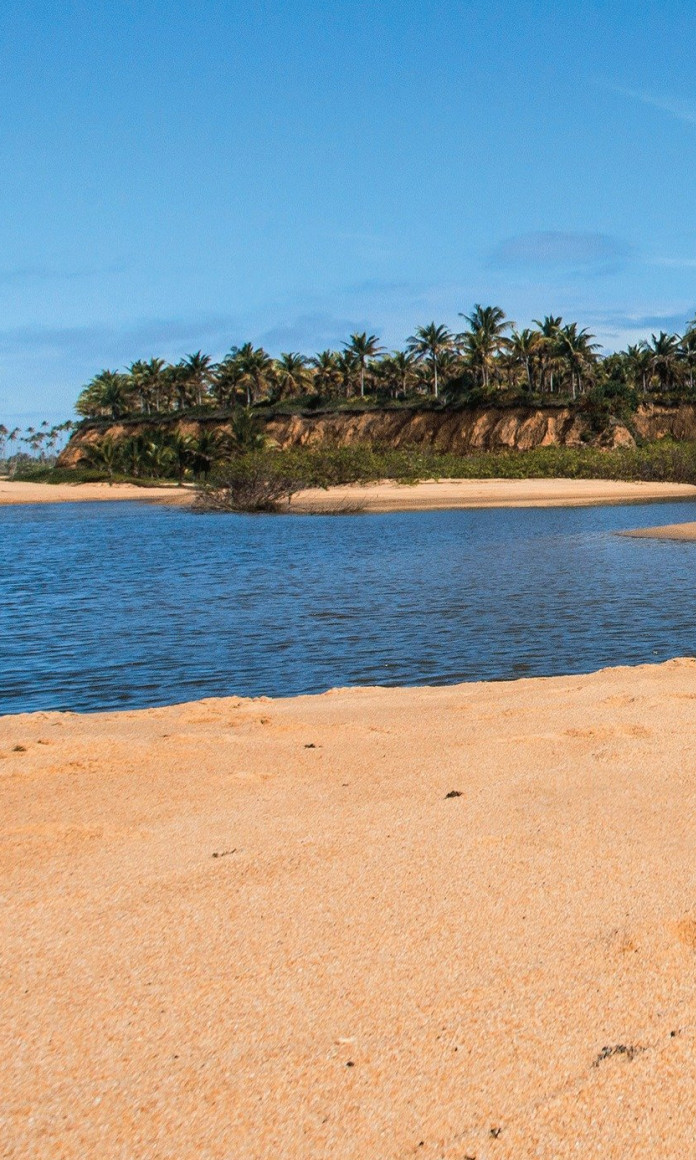 Rio corta uma praia com areias claras e uma falésia cheia de coqueiro ao fundo