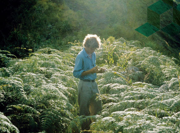 O etnobotânico no sul da Colômbia, 1975