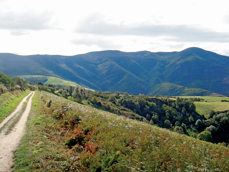 A saída do Cebreiro em direção a Triacastela
