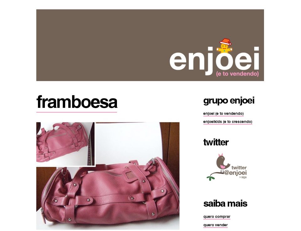 O Enjoei.com.br: 3500 acessos únicos por dia