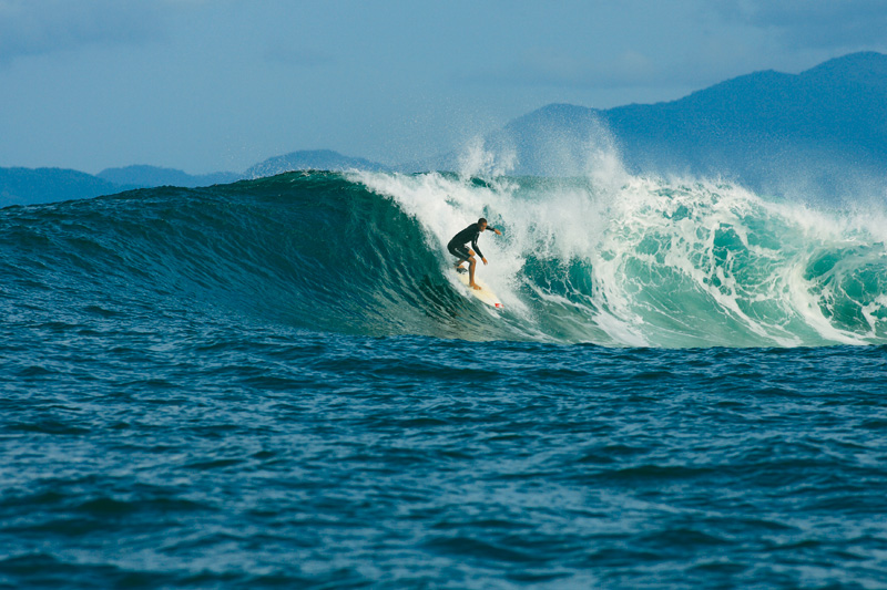 Wigolly dropa a cascuda