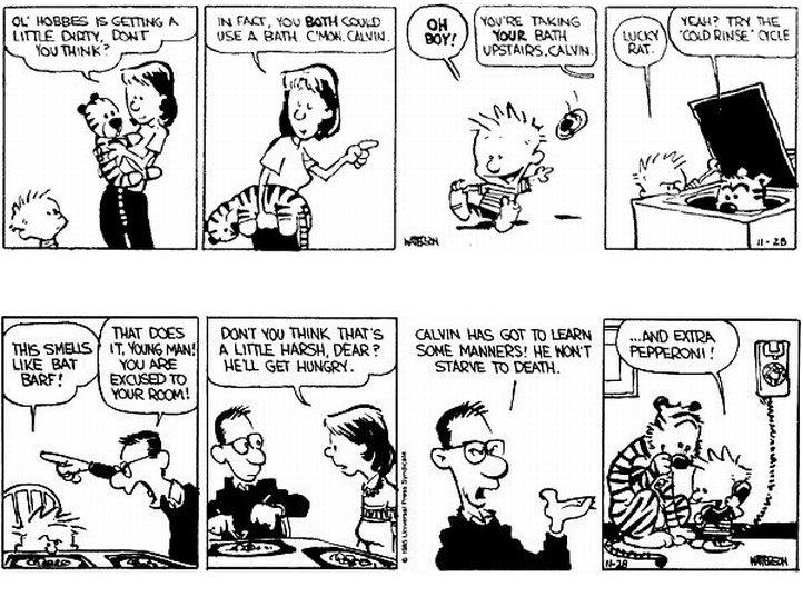 As duas tirinhas mais raras de Calvin & Haroldo. elas foram impressas em alguns jornais para substituir a diária que passou por um problema de impressão. Por motivos desconhhecidos, nunca foram republicadas