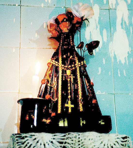 Imagem do livro Balenciaga e os corações pelludos