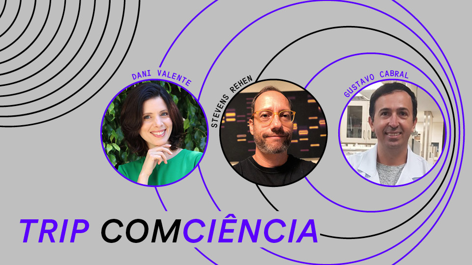 Desvendando nosso sistema imunológico