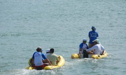 Fernando de Noronha XV