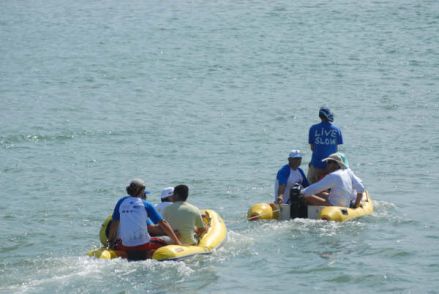 Fernando de Noronha XV