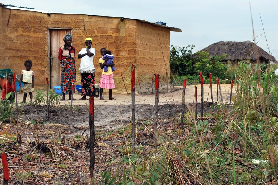 Não quero ver em 2020