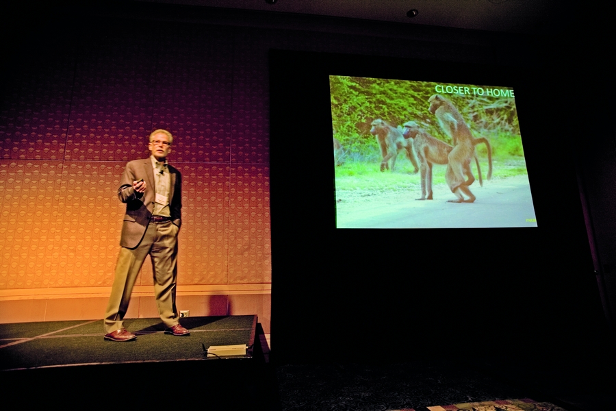 Gregory Stock parte do macaco para supor o que pode acontecer com a reprodução pós-singularidade