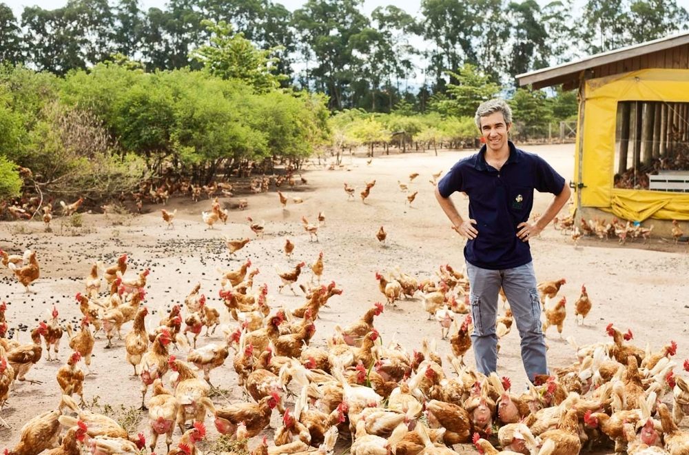Pedro entre as galinhas da fazenda