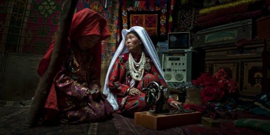 Ninguém tem que ter a minha senha!