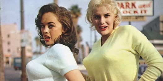 Os significados do prazer