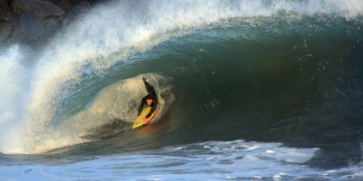 31 títulos mundiais na água