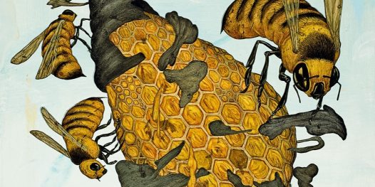 Radinho de Pilha 2.0