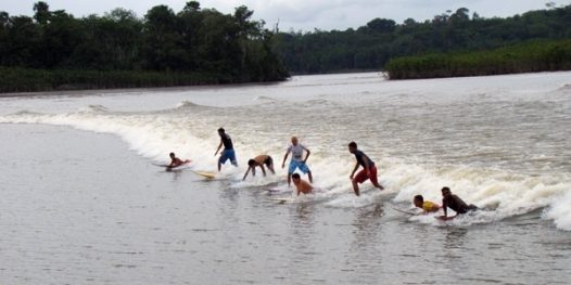Surf ou navegação?