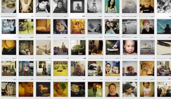 The-roid, de Gal Harpaz