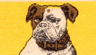 Nomes adequados & inadequados