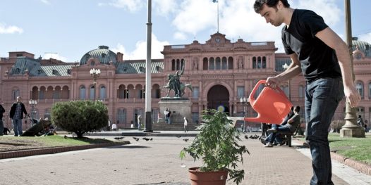 A grama do vizinho é mais verde