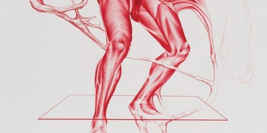 TRIP-204_ColunaDuran-001