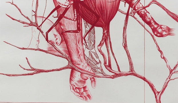 TRIP-204_ColunaGuimarães001