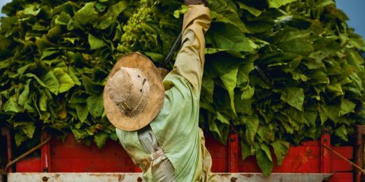 Venha para o mundo de Marlboro