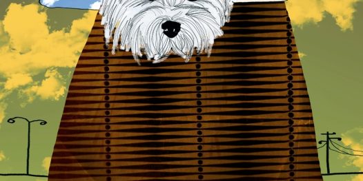 De repente, Rodolfo outra vez