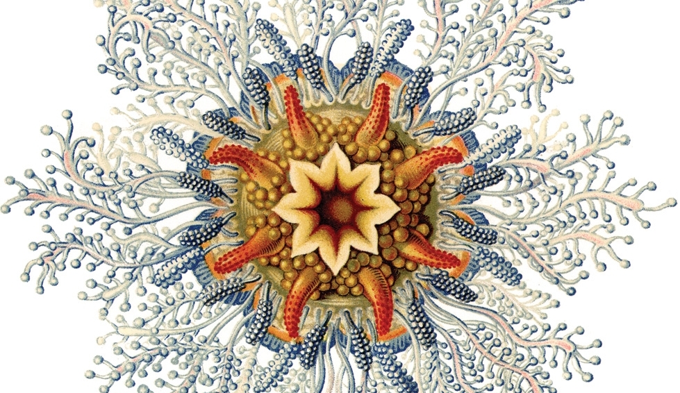 Carta de filho para pai