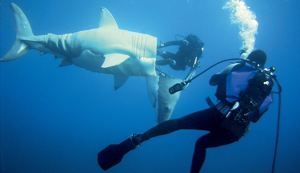 O neto de Jacques Cousteau sai de “Troy”