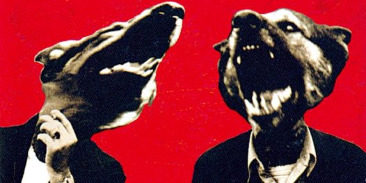 Cara de um, focinho do outro