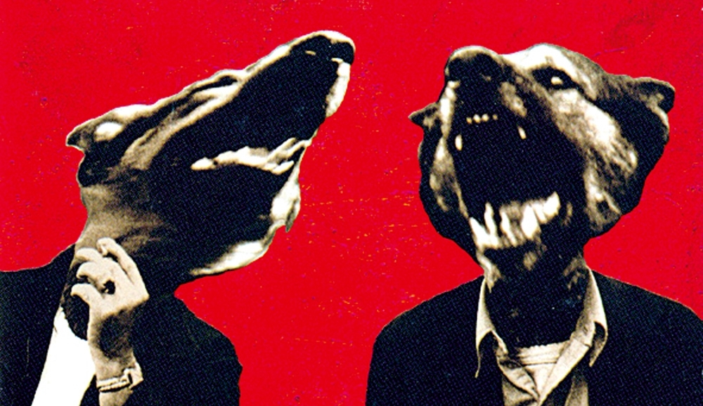 Cara de um, focinho do outro