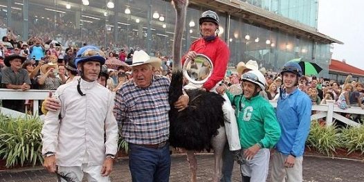 Meu nome não é ema