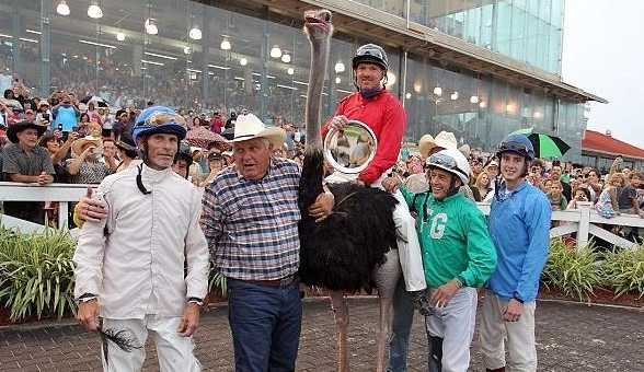 Meu nome não é ema