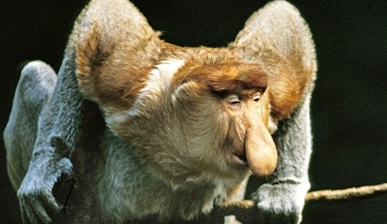 Por que não há Grindr para héteros?