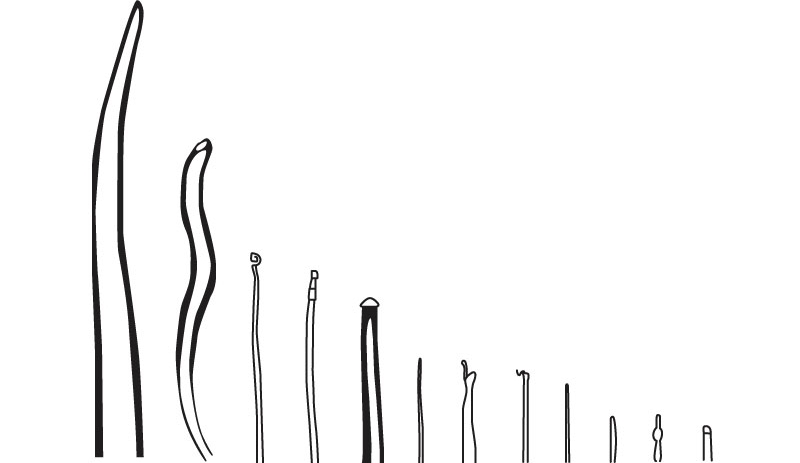 Disputa palmo a palmo