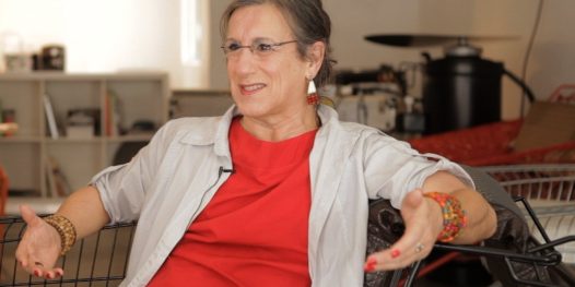 Transformadores por Laerte