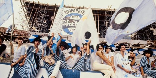 Bambis, gaivotas e outras bichas