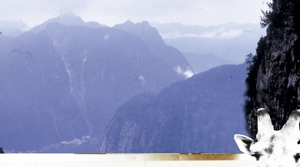 Xoxota, xoxotinha. Trepada, trepadinha