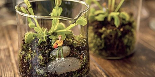 Jardim ideal para pouco espaço