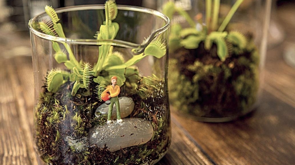 Jardim ideal para pouco espaço