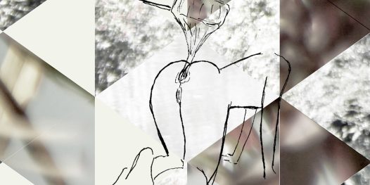 O dia em que Nina Lemos depilou o outros