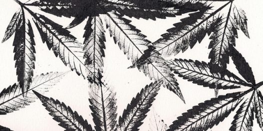 Playlist Canábica: 4h20 de música para comemorar o mês da maconha