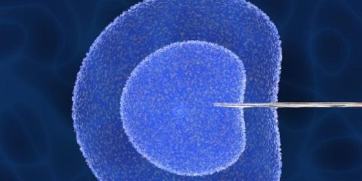 Pelo direito de ter filhos!