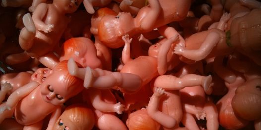 Fertilização gourmet